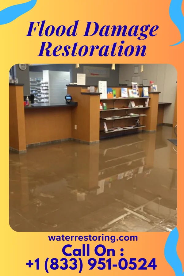 Flood Damage Restoration in Shipman, IL